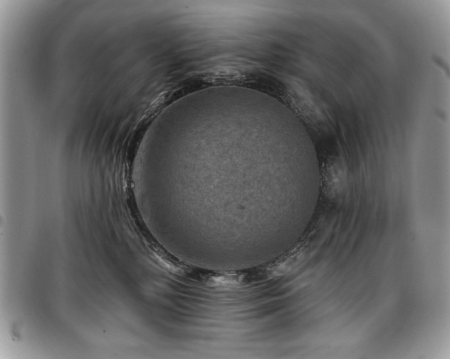X0000097290232200802151422