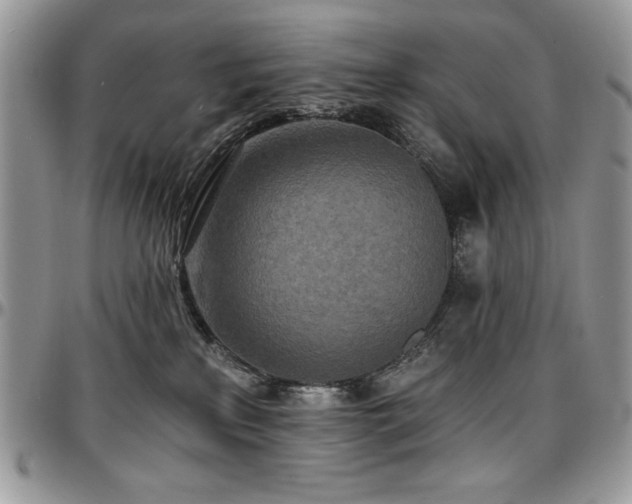 X0000097290233200802151422
