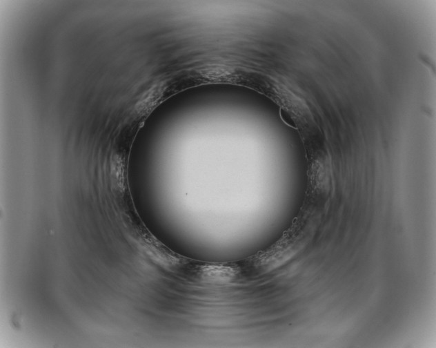 X0000097290234200802151422
