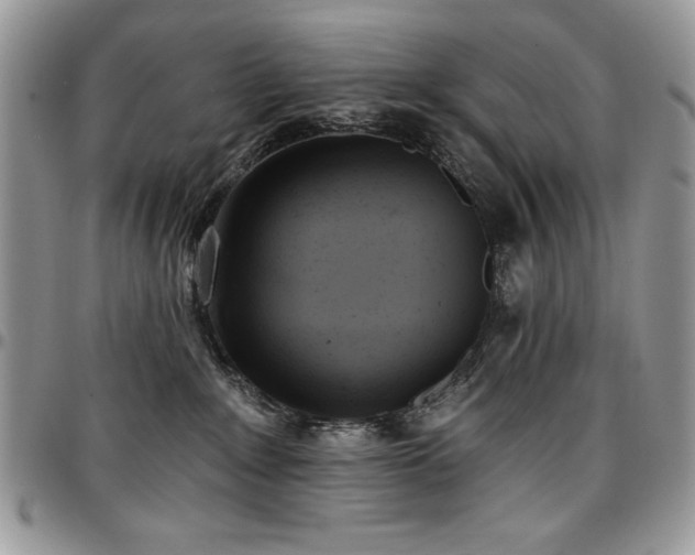 X0000097290235200802151422