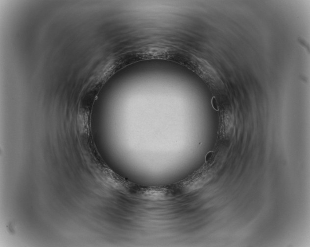 X0000097290236200802151422
