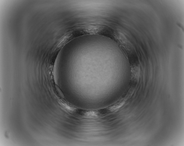 X0000097290237200802151422