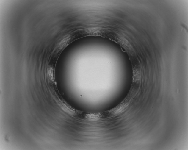 X0000097290238200802151422