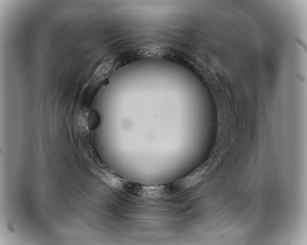 X0000097290240200802151422
