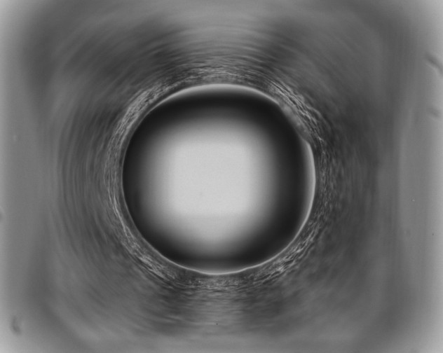 X0000097290241200802151422