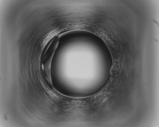 X0000097290242200802151422