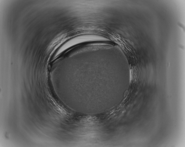 X0000097290243200802151422