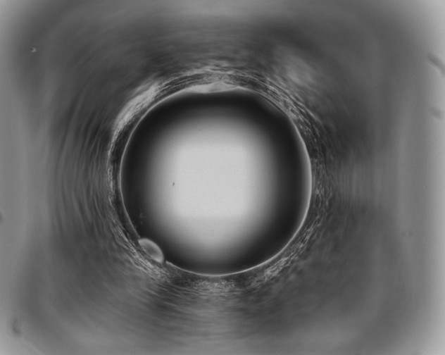 X0000097290245200802151422
