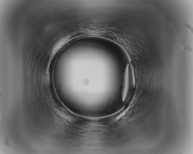 X0000097290246200802151422