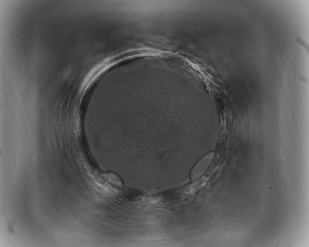 X0000097290247200802151422