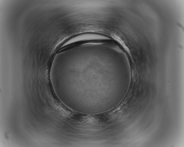 X0000097290249200802151422