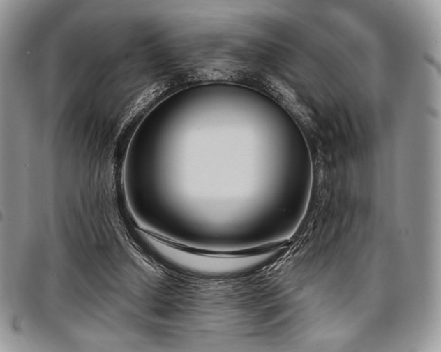 X0000097290250200802151422