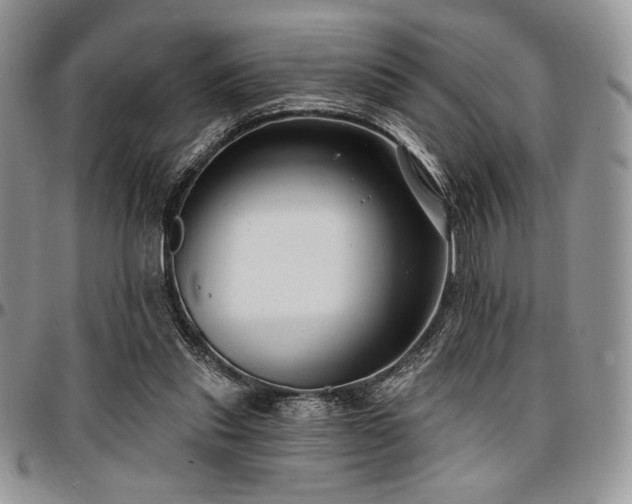 X0000097290253200802151422