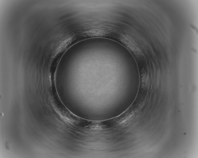X0000097290254200802151422