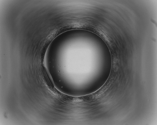 X0000097290257200802151422