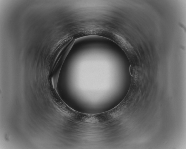 X0000097290258200802151422