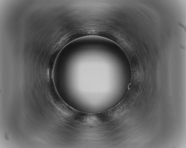 X0000097290262200802151422