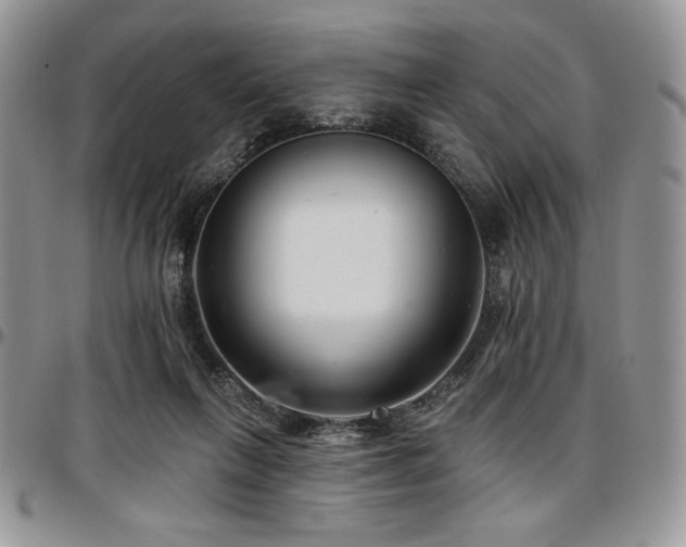 X0000097290263200802151422