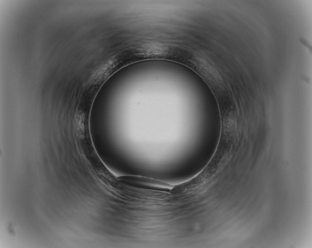 X0000097290264200802151422