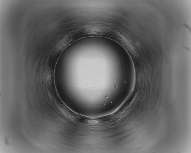 X0000097290265200802151422