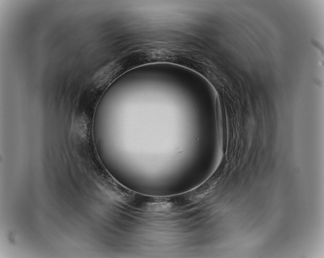 X0000097290266200802151422