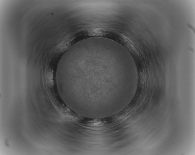 X0000097290267200802151422