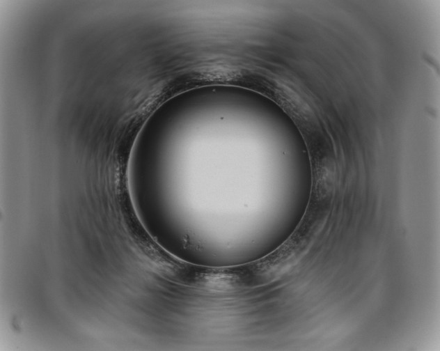 X0000097290268200802151422