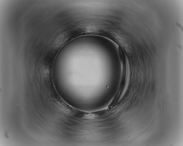 X0000097290269200802151422