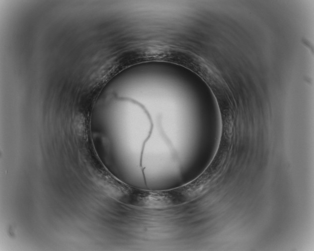 X0000097290270200802151422