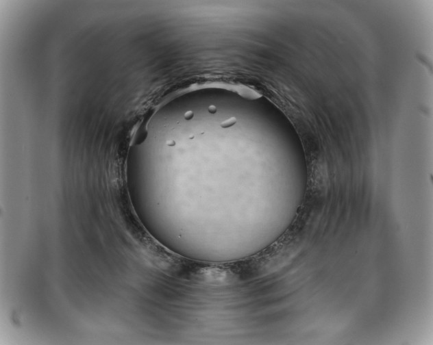 X0000097290272200802151422