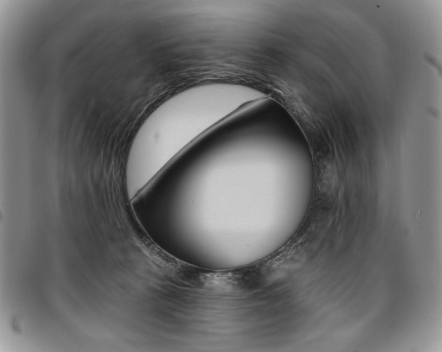 X0000097290273200802151422