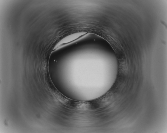 X0000097290274200802151422