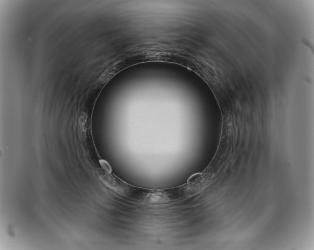 X0000097290275200802151422