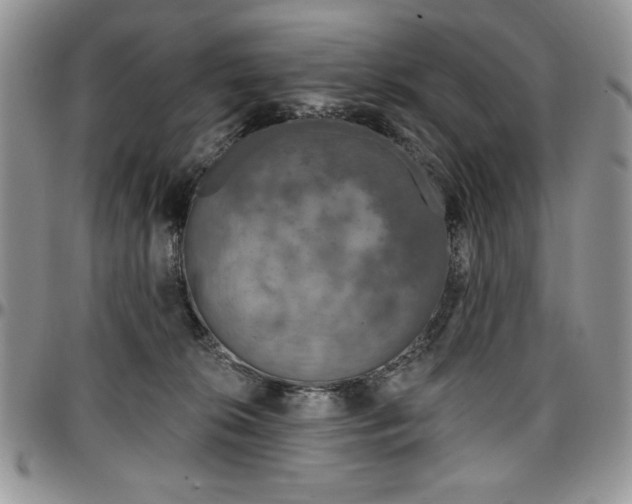 X0000097290276200802151422