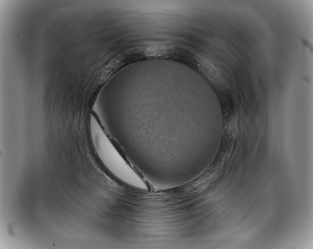 X0000097290277200802151422