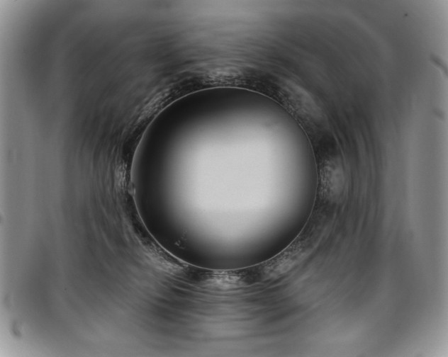 X0000097290278200802151422