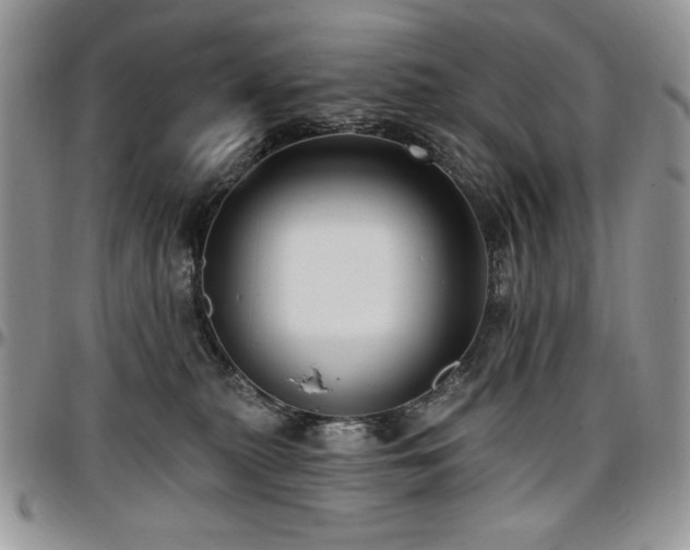 X0000097290279200802151422