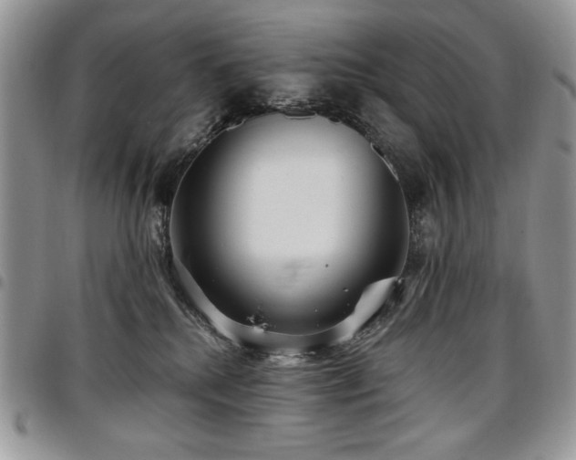 X0000097290280200802151422