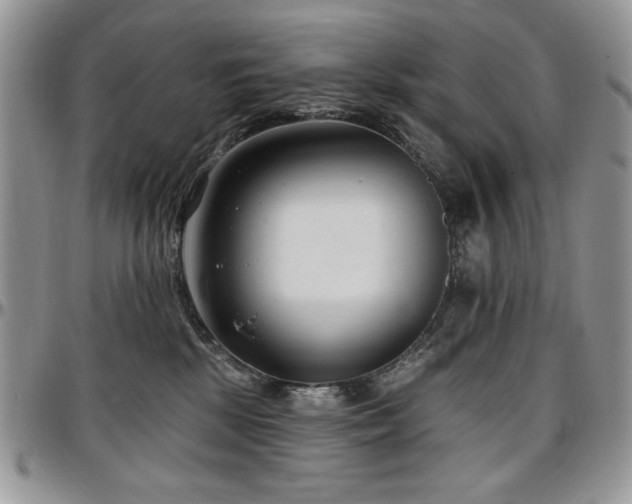 X0000097290281200802151422