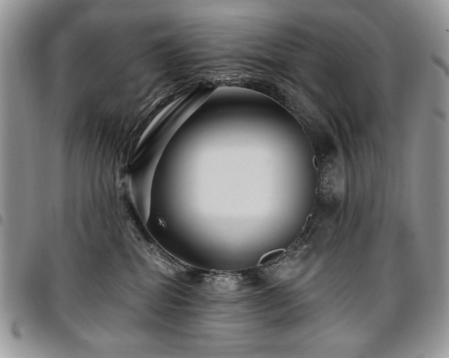 X0000097290282200802151422
