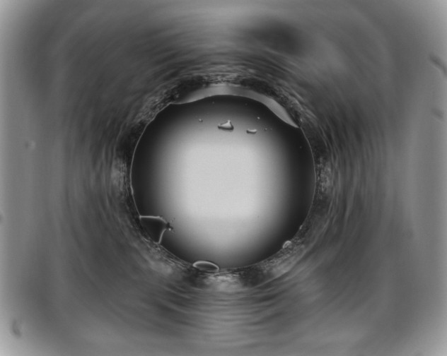 X0000097290283200802151422