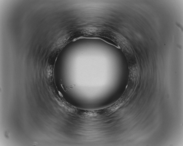 X0000097290284200802151422