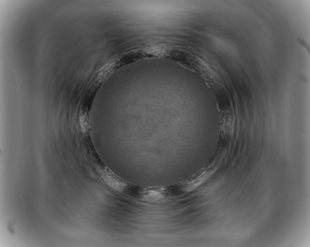 X0000097290285200802151422