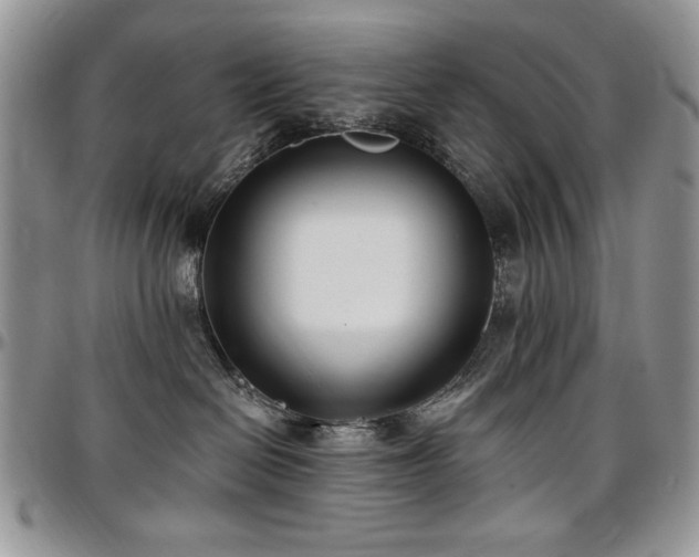 X0000097290286200802151422