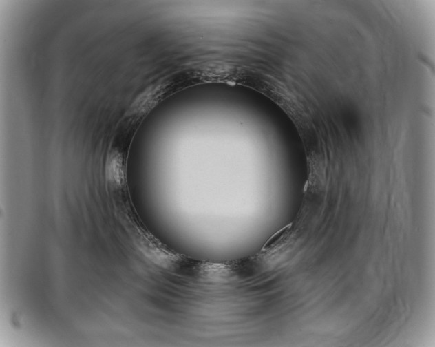 X0000097290287200802151422