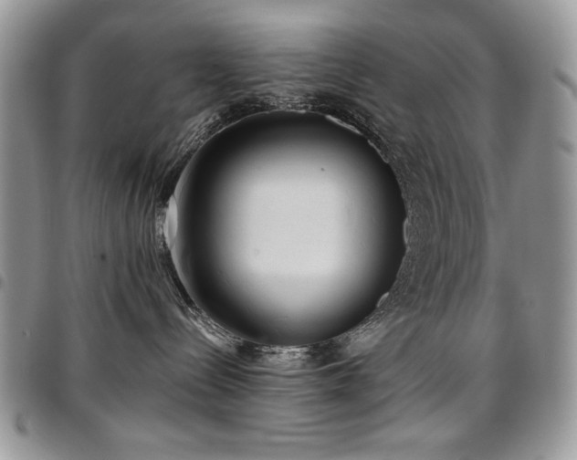 X0000097290288200802151422