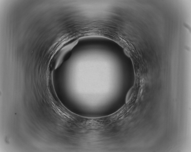X0000097290290200802151422