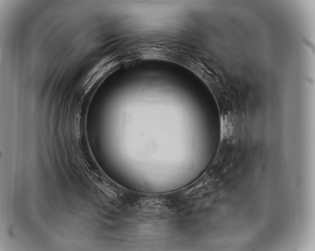 X0000097290291200802151422