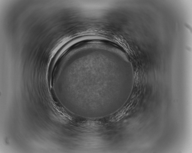 X0000097290292200802151422