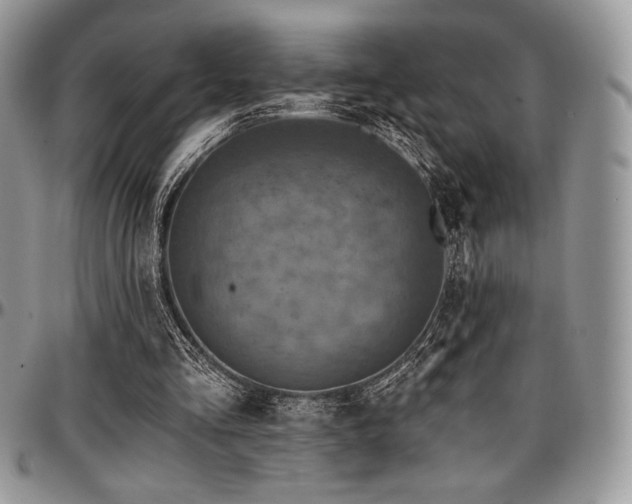 X0000097290293200802151422